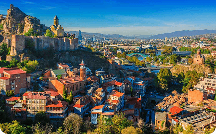Surrogacy in Georgia